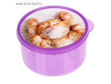 ����-���� "��ԣ���", 500 �� 44��� �� 2��