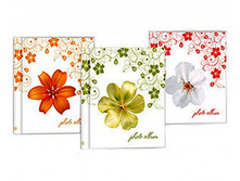 515���. ��� 72083 V ���������� 50� ����� 184 ����� ������ ��������� Image Art.jpg