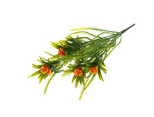 ����� "������� � ������� ��������" ��������� "������� � ������� ��������" ���� �����; 35 ��; �������; � ����� 800 ��. ���.: 1516231 49.50 ���.