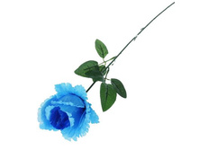 ������ ������������� "������ ����" ����������� ������������� "������ ����" ����� �����; 7 �� × 53 ��; �������, ��������; � ����� 900 ��. ���.: 1659281 32.89���.