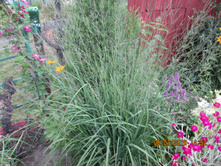 ������� ������������ ������� - 70 ���