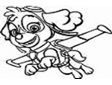 Image610.png