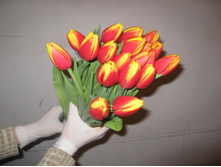 ������� Denmark