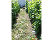 ����������� ������