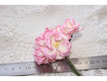 : �������� �������, 1��. - 10�.