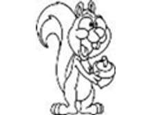 Image805.png