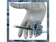 MULBERRY HIP ROSEBUDS 12��, 20��- 90���