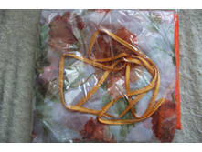 ������ ���������