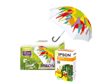 TIPSON ��� ������ 85�, ���� ��������_379 ���+%