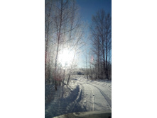 IMG 20161212 110326.jpg