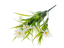 ����� "���������� �������"����� "���������� �������" �����; 34 ��; �������; � ����� 800 ��. ���.: 1516234 55.00���.