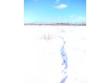 IMG 20170226 114915.jpg