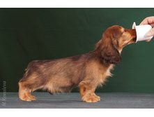 16487150 1277190729014014 1702383935291057077 o.jpg