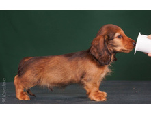 16463604 1277594262306994 2876896153278275398 o.jpg