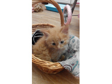 IMG 20161017 164413.jpg