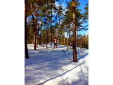 IMG 20170226 104258.jpg