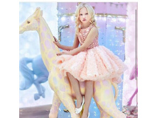 ���� ���������