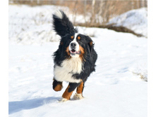 56ee843bdf066 dsc4139.jpg