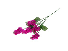 ����� ������������� "������" ��������� ������������� "������" ���� �����; 64 ��; �������, ��������; � ����� 1200 ��. ���.: 558251 49.00���.