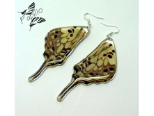 ������ Graphium antheus, 350