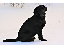 ���� ��� �� ��