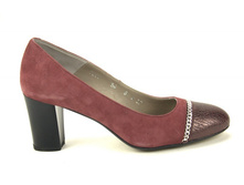 ������� ����� ANN MEX 2450 ���