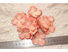 14��- 5��- 25���