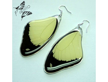 ��� ��, ������ �������