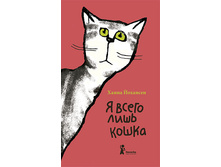 � ����� ���� �����