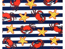 ������ STAR FISH 98-110 ����� �����.jpg