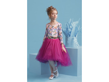 ������ 4070-2 1529 ���.