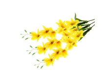 ����� ������������� "������� ֣����"����� ������������� "������� ֣����" �����; 67 ��; �������, ��������; � ����� 288 ��. ���.: 799633 42.00���.