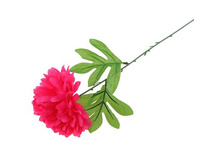 ������ ������������� "����"������ ������������� "����" �����; 14 �� × 14 �� × 55 ��; �������; � ����� 1000 ��. ���.: 440476 30.80���.