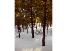 IMG 20170226 140045.jpg