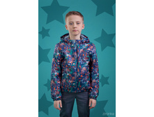 ������ 4079-2    1317 ���.