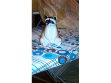 IMG 20170216 184158.jpg