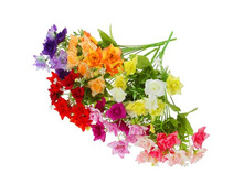 ����� "����-�������" ��������� "����-�������" ���� �����; 30 ��; �������, ��������; � ����� 600 ��. ���.: 1653781 58.20���.