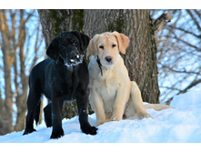 ���� ������� � ������� �� ��