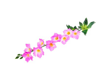 ����� ������������� "��������� �������"����� ������������� "��������� �������" �����; 60 ��; �������, ��������; � ����� 1000 ��. ���.: 183211 35.75���.