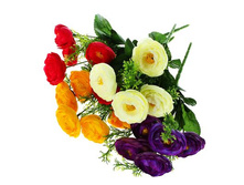 ����� "����" 25 ��, ��������� "����" 25 ��, ���� �����; 11 �� × 25 ��; �������, ��������; � ����� 361 ��. ���.: 1769248 59.40���.