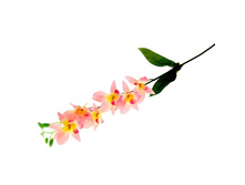 ����� ������������� "������� �����������"����� ������������� "������� �����������" �����; 67 ��; �������, ��������; � ����� 288 ��. ���.: 799632 42.00���.