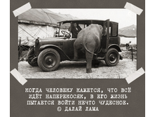 5631d79388611 193233810154298393665931289377269565522776n.png