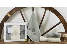 2385 �������.JPEG