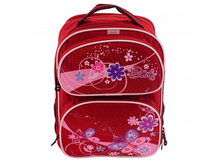 ������ DR 6007 (�������).jpg