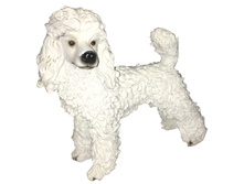 ������� ������ ������� ������ 37��.jpeg