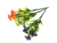 ����� "�������" ��������� "�������" ���� �����; 30 ��; �������; � ����� 800 ��. ���.: 1653789 51.00 ���.