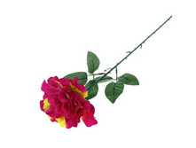 ������ ������������� "����" ��������� ����, ֣���-��������������� ������������� "����" ��������� ����, ֣���-��������� �����; 10 �� × 53 ��; �������, ��������; � ����� 600 ��. ���.: 1659289 39.05���.