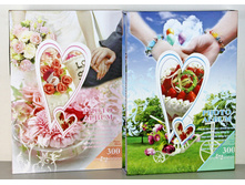 460���. ��� ��-00000839 V ���������� 300� ����-310 10�15 ������ ��� ��.jpg