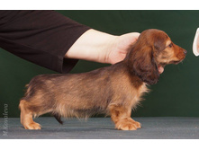 16487035 1277190735680680 4781867457723388240 o.jpg