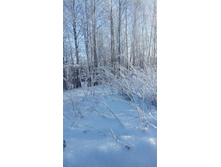 IMG 20161212 110333.jpg